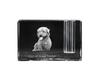 Glen of Imaal Terrier, Irish Glen of Imaal Terrier – Pen Stand, Crystal Organiser with Dog Photo | Art-Dog