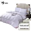 Lan Man 90% White Goose Down All Cotton Winter Comforter