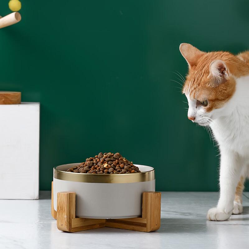 Ceramic Pet Bowl with Wooden Stand