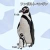 Humboldt Penguin 23 BH7093
