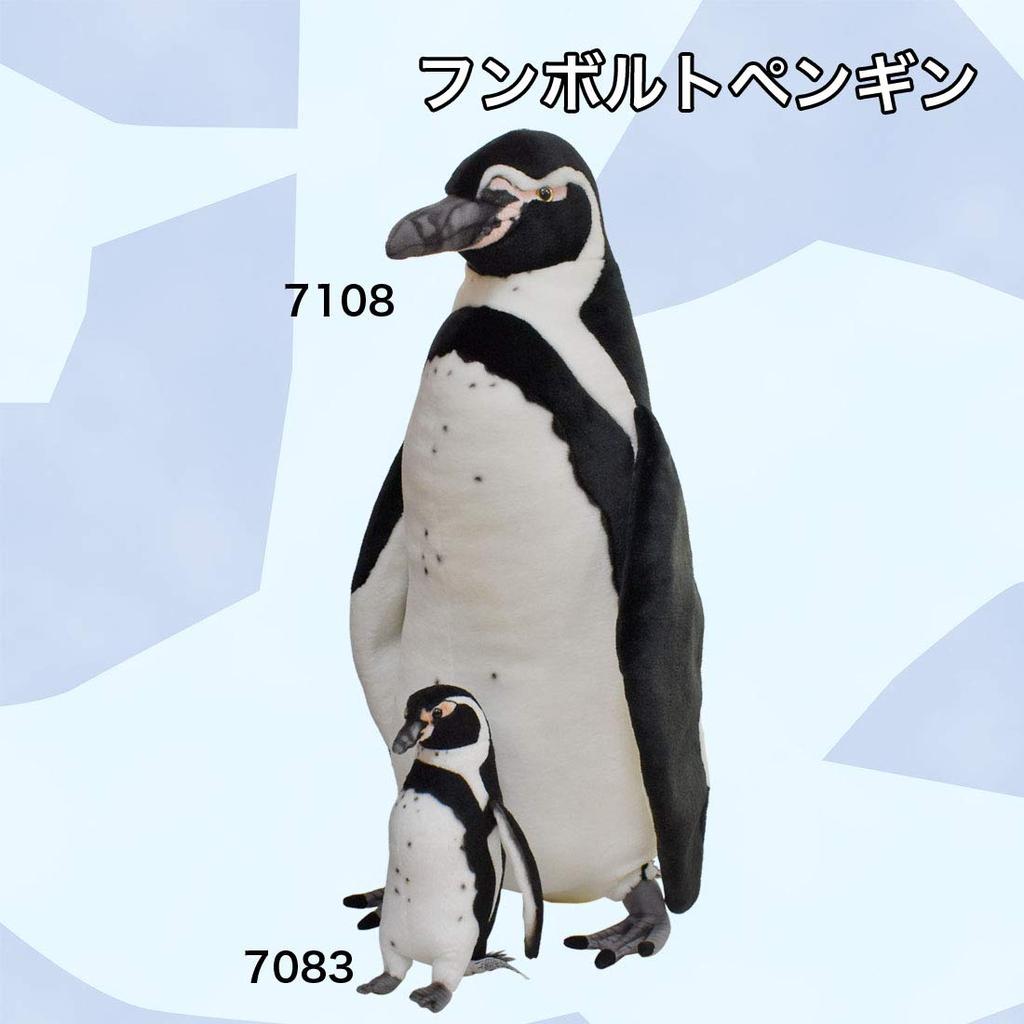 Humboldt Penguin 23 BH7093