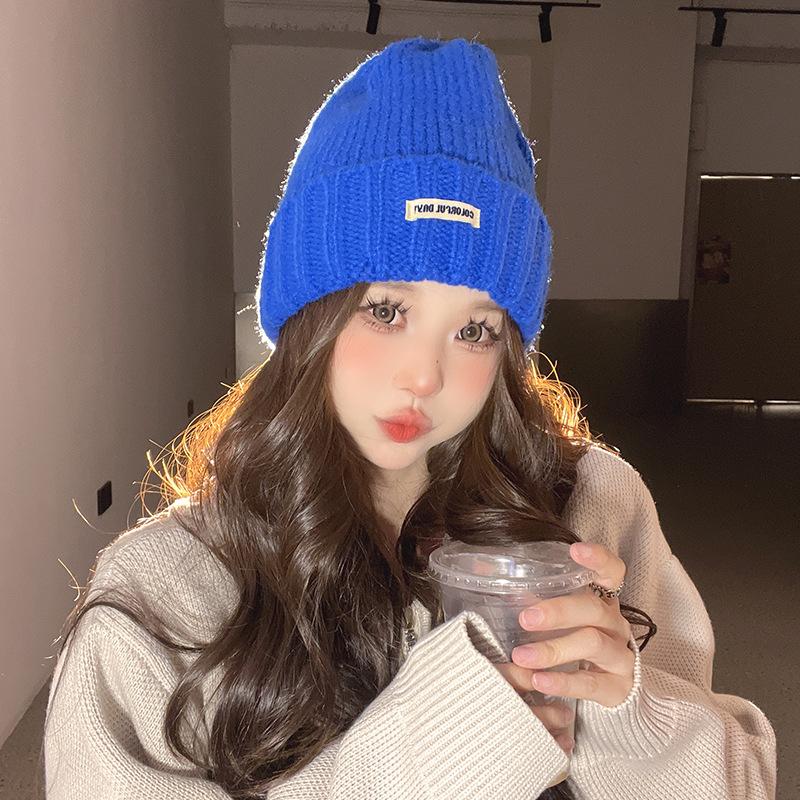Women's Autumn and Winter New Big Head Circumference Warm Knitted Hat Korean Style Student Face Small Ear Protection Cold Hat Pile Hat