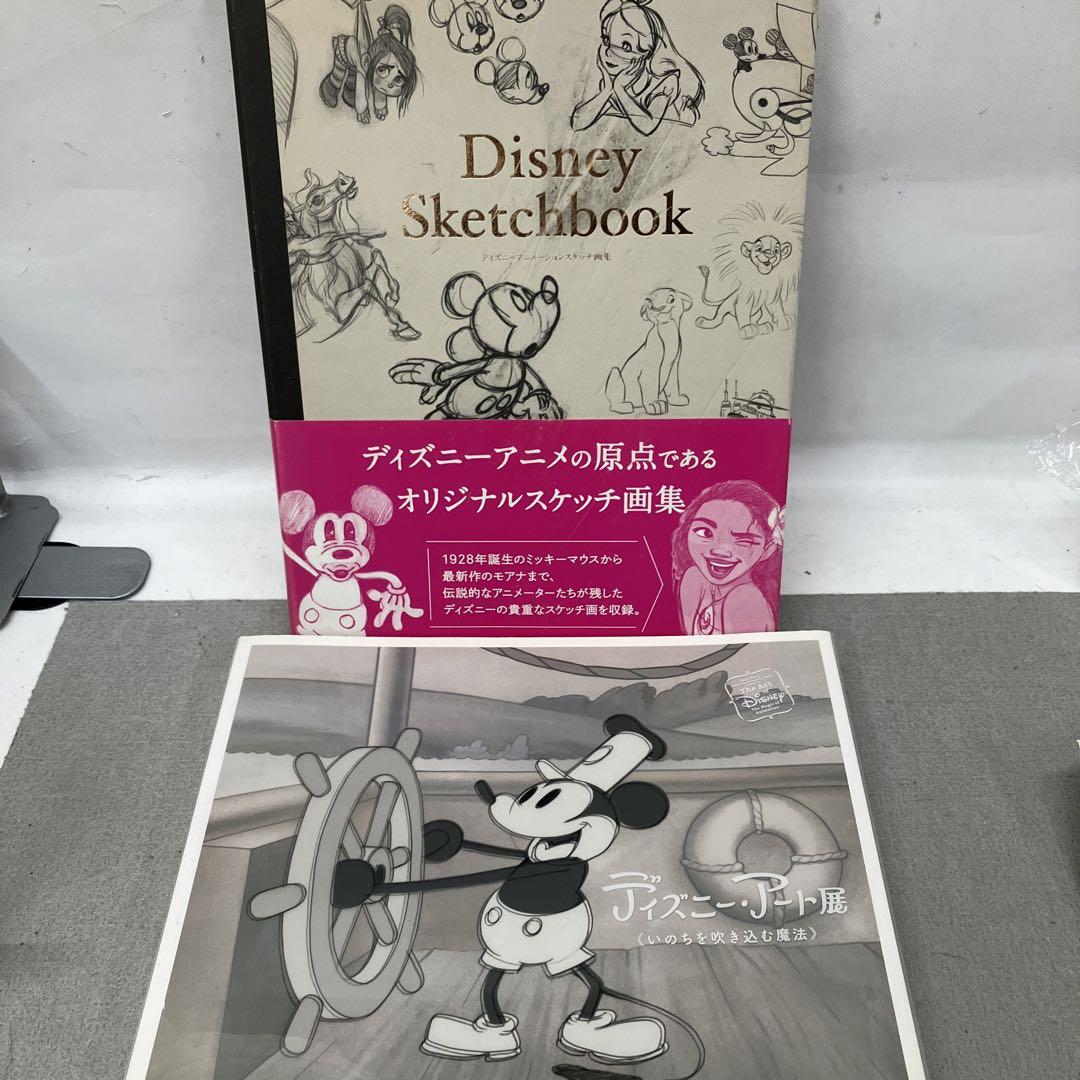 

[USED] GAQ140 Disney Animation Sketch Art Book Set of 2