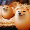 Cute Shiba Dog Egg Squishy Squeeze Toy Creative Simulation Dog Egg Stress Relief Rebound Decompression Fidget Toy