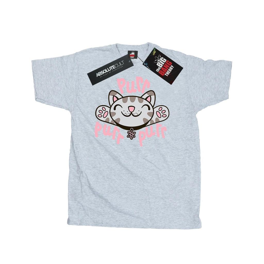 Big Bang Theory Mens Soft Kitty Purr T-Shirt