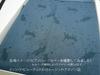 edition GP with Grand piano cover Yoshizawa YAMAHA [Special cloth] GP-695CN (GP-595CN) (for A1/Z1/GB1K)