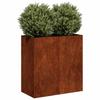 Decorațiuni pentru casă – Ghivece de flori decorative