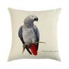 Painted Pattern Of The Macaw Digital Printing Short Plush Pillow Covers For Car Sofa Office Cushion Cover Home Goods