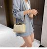 Spring/Summer 2025 Women's Versatile Korean Style Straw Woven Crossbody Handbag