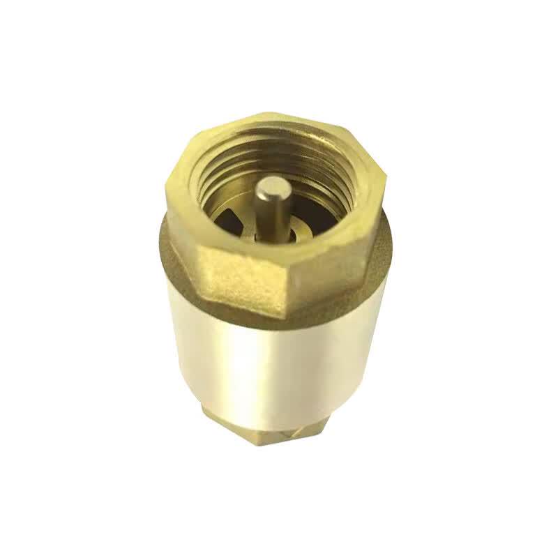 Water Meter Vertical Check Valve