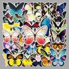 50 Butterfly Graffiti Stickers: Creative, Waterproof Decoration for Phone Cases and Suitcases