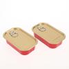 2 Stück Metall Rechteckig Leer Mini Blechdose Versiegelte Lebensmittel Dose Mit Zugring Deckel Mehrzweck Kleiner Organizer Aufbewahrungsbox