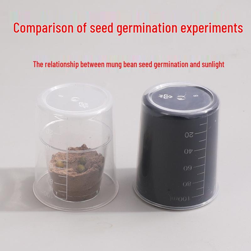 5th Grade Semester 2 Science Experiment Kit: Seed Germination Edition