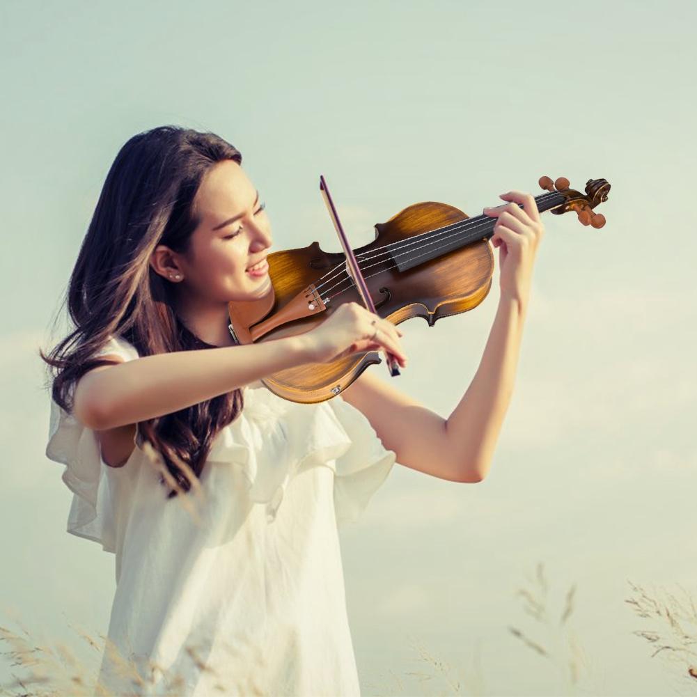 AV E310 Electro Acoustic EQ Violin Matte Finish Fiddle Kit with Case Rosin Bow Extra Strings