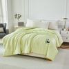 Hengyuanxiang Bamboo Fiber Skin-Friendly Winter Quilt
