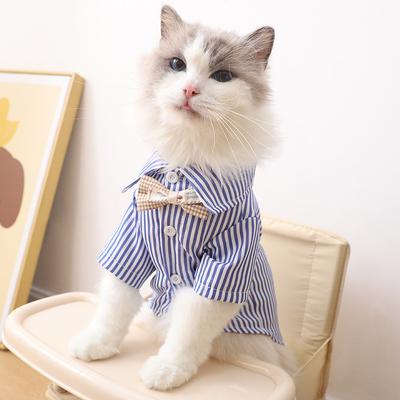 Pet Cat Clothes Summer Breathable Korean Style Striped Shirt Two Months German Curly Cat Out Anti-Dirty Two Feet Apparel