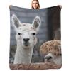 Alpagas curieux animaux mignons Couverture Jetée Couverture Décoration Élégante Cadeau pour Amis Colocataire