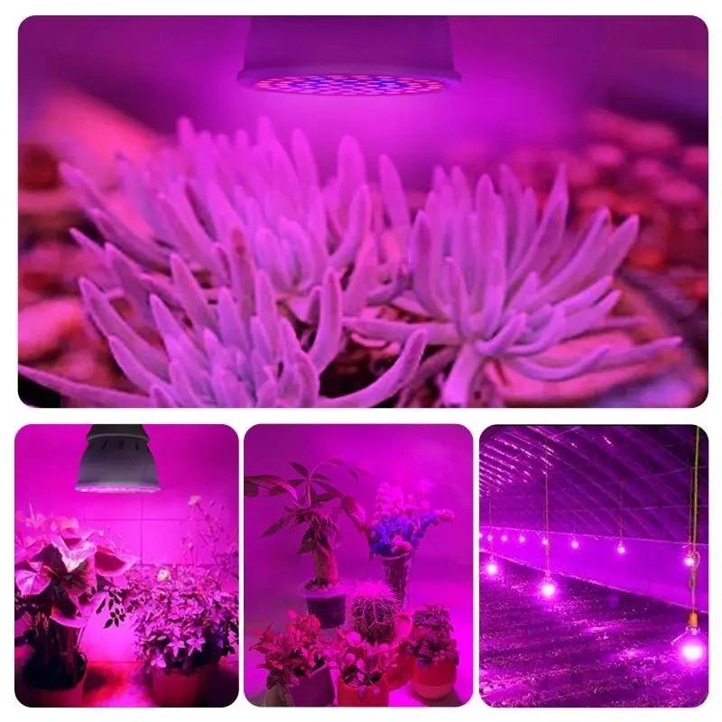 LED Plant Bulb E27 Full Spectrum Grow Light Indoor Flower Vegetable Cultivation Light for Greenhouse Garden Pot Plant Growing