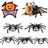 Dog Pet Halloween Cat Simulation Skull Black Spider Costume Cosplay Party Set