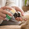 Pet Balm Stick for Dogs and Cats, Moisturizing Cream for Dry Cracked and Odor Control