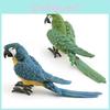 Vibrant Blue And Green Parrot Model Charming Animal Decoration For Collectors