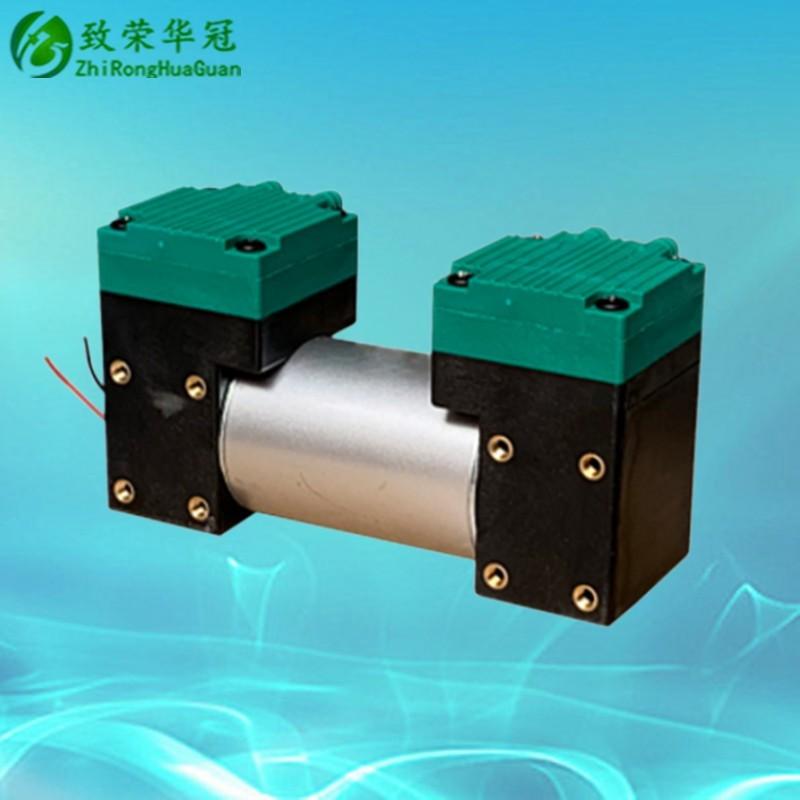 Miniature Vacuum Pump AC110V Small Pump DC24V Inflating Pump AC220V Beauty Instrument Negative Pressure Pump DC12V Air Pump