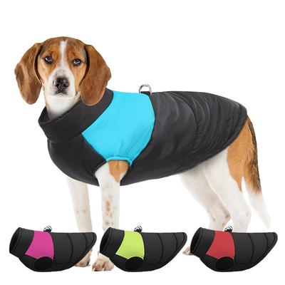 Ropa y calzado – Chalecos y camisas para perros