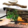 Branches for Reptiles Unique Reptile Wood Branches Climbing Accessories Natural Snake Tank Decor Reptile Climbing Corner Stick