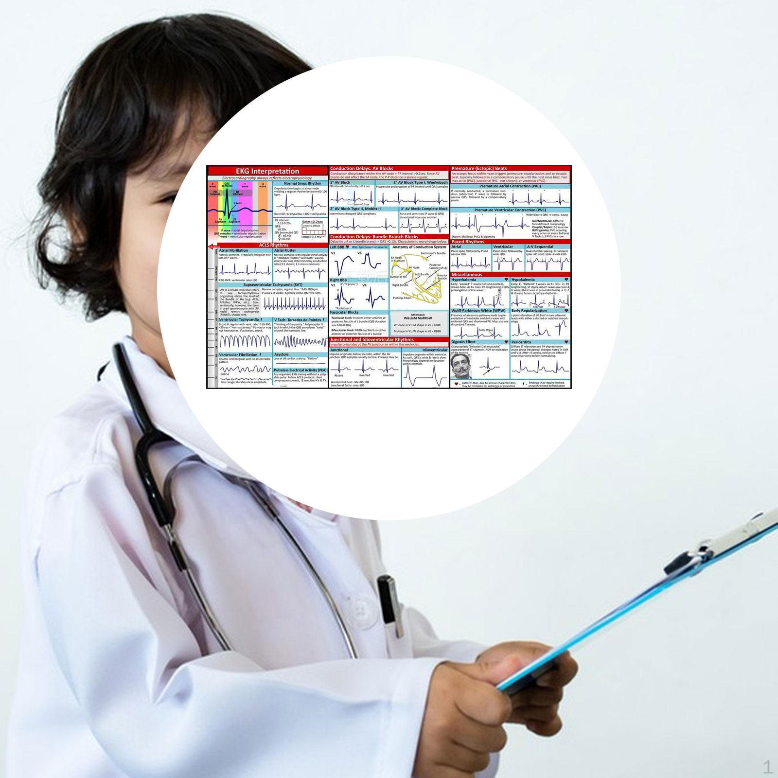 

Ekg Pocket Guide Nurse Accessories Compact Study Classroom Teaching Portable Supply