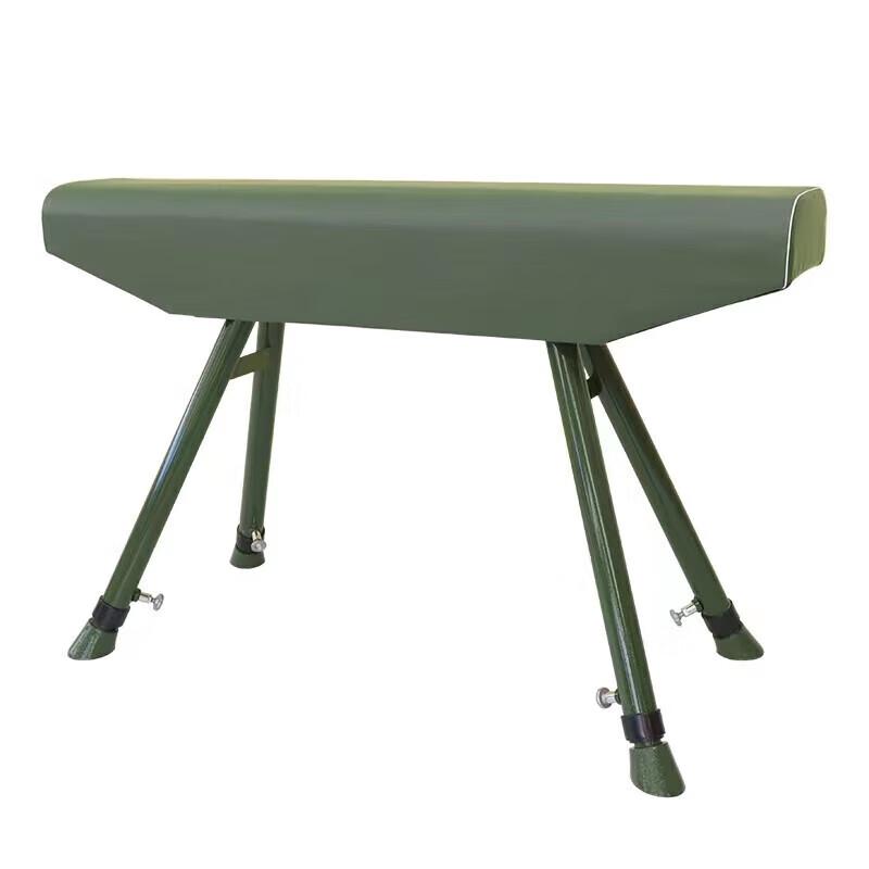 Gymnastics Training Pommel Horse