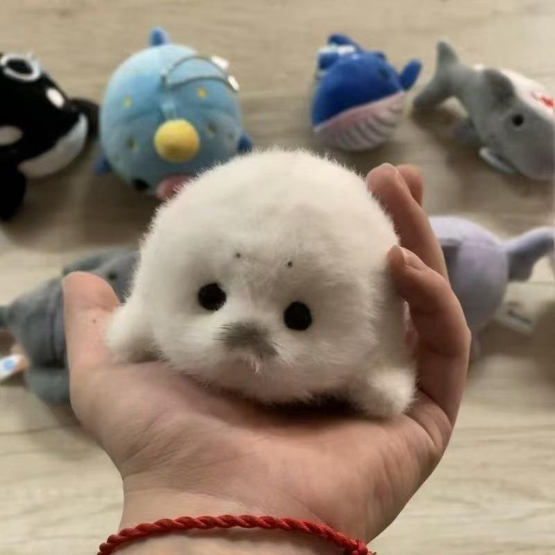 Adorable Baby Seal Plush Keychain - Ocean Toy Souvenir