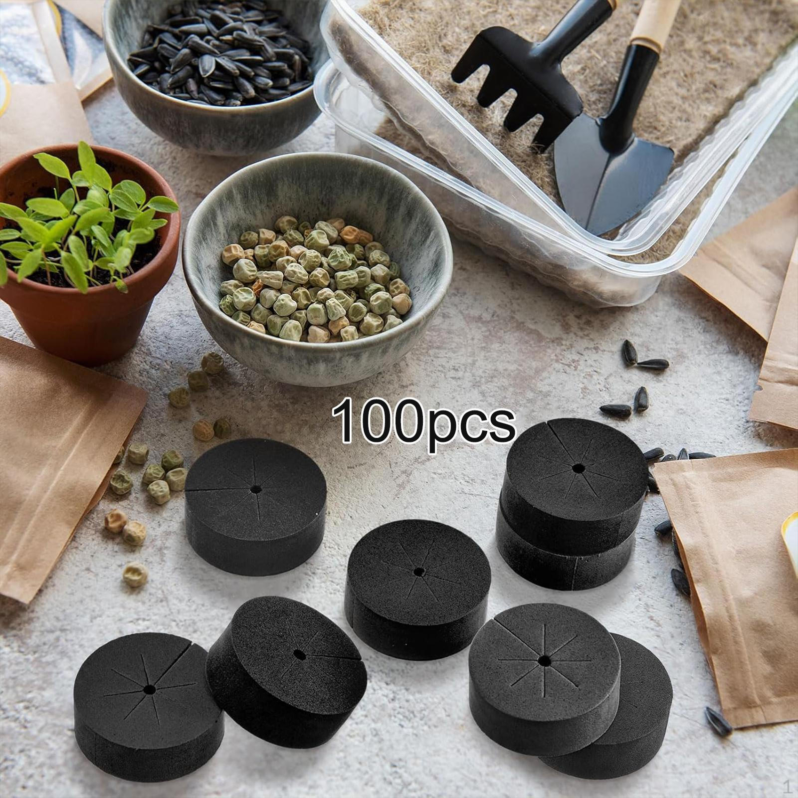 

100 Cloning Collar Inserts for Soilless Sponge Systems Vegetables 4cmx1.9cm