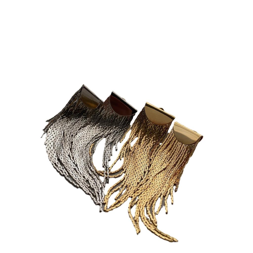 High-End Atmospheric Metal Long Fringed Earrings For Women, Light Luxury Design, Simple Temperament, Versatile Earrings For Women