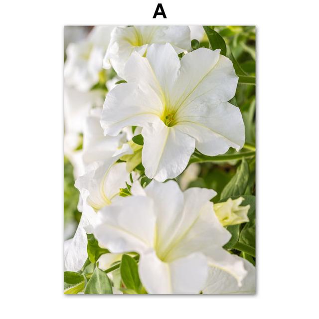 Tulip Flower Canvas Wall Art Pictures Nordic Floral Posters On The Wall Frameless Landscape Paintings for Interior No Frame