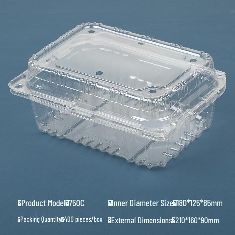 Transparent Disposable Fruit Box with Lid – Food-Grade Plastic, Rectangular, Sturdy for Takeaway, Ideal for Strawberries or Cut Fruit