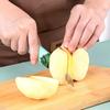 2-in-1 Stainless Steel Double Headed Fruit Peeler, Kitchen Multi-Purpose Fruit Peeler, Portable Knife