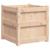Plant Pot 50x50x50 Cm Solid Pine Wood