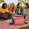 Tragbare Picknicktasche Oxford-Stoff Tasche mit großem Fassungsvermögen Lebensmittelbehälter Lunchtasche Tägliche Nutzung
