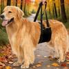 Senior Dog Support Harness for Rehabilitation: Chest Strap & Limb Assistance
