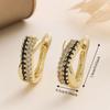 Delicate Zircon Hoop Earrings Light Luxury Women Earrings Temperament Clip Earrings  Women