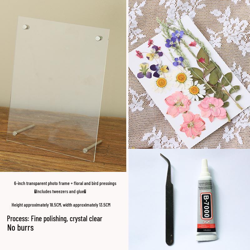 Nordic Simple Acrylic Photo Frame - 6-7 Inch DIY Dried Flower Pressed Specimen