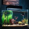 Rete Magnetica Anti-Salto per Acquario Fai da Te Facile Installazione Tagliabile Coperchio per Acquario di Dimensioni Personalizzate