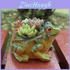 Creative Miniature Garden Planter With Cute Frog Figurine For Home Decor And Giftgiving