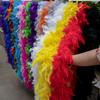 DIY 2M Turkey Feather Boa 38g-90g Marabou Feathers Boa Dyed Colors for Wedding Scarf  Shawl Decor DIY Crafts Costume Accessories