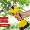 Rechargeable Electric Pruning Shears with Lithium Battery for Tree and Fruit Branches – Two Styles Available.