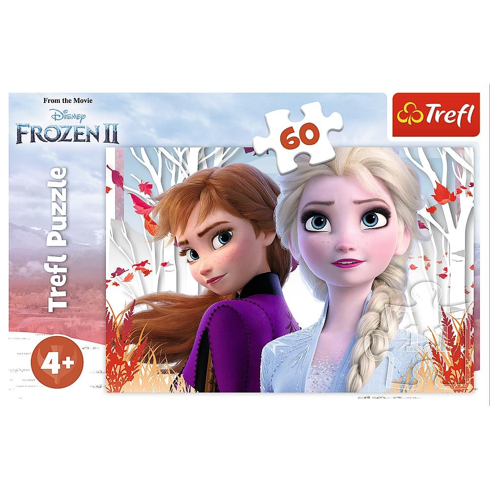 17333 "60 - The Enchanted World of Anna and Elsa" / Disney Frozen 2