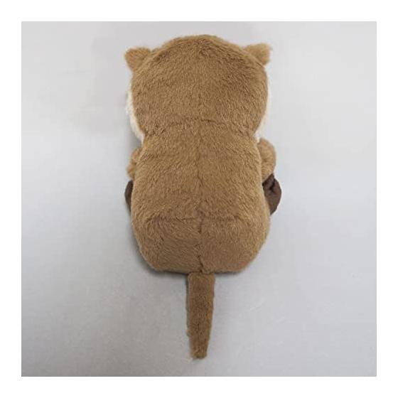 Sanei Boeki Original Plush Toy Kyunkoro Otter W10 X D12 X H12cm Animal