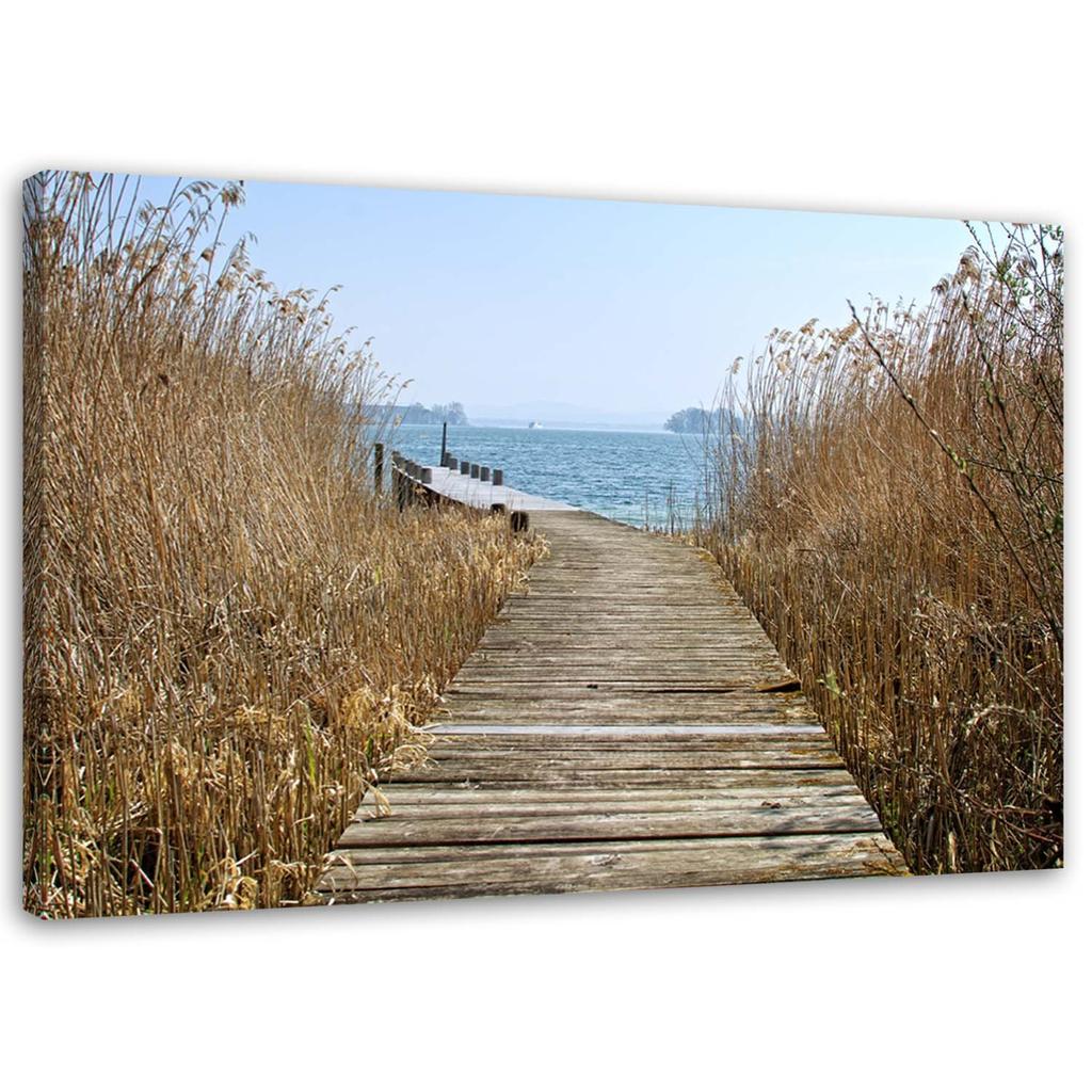 Canvas print, Bridge reed sea landscape
