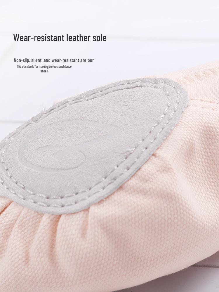 Girls' Soft Sole Stretchy Ballet Practice Shoes In Flesh Color