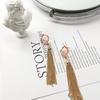Vintage French Romantic Orange Acrylic Chain Tassel Earrings